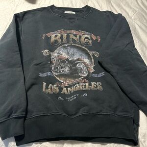 Anine bing sweatshirt